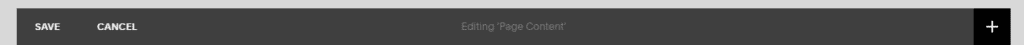 Squarespace editing toolbar showing Save, Cancel, and the plus button to add a block.